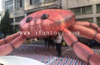 Ceiling Decoration Giant Inflatable Crab / Inflatable Roof Crab for Advertising