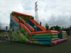 Inflatable Tropical Forest Theme Water Slide / Inflatable 18 Wahoo Water Slide / Dry Slide for Kids And Adults
