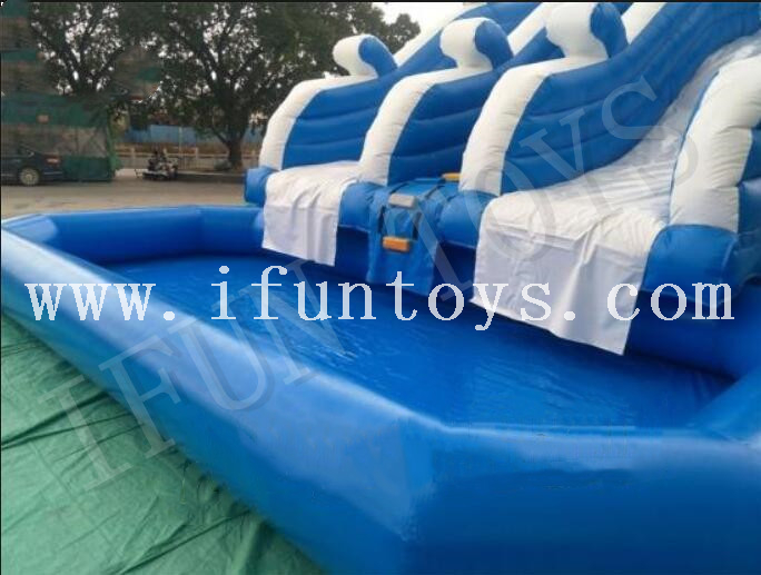 Inflatable Dolphin Water Slide / Double Lanes Slilp Slide with Pool