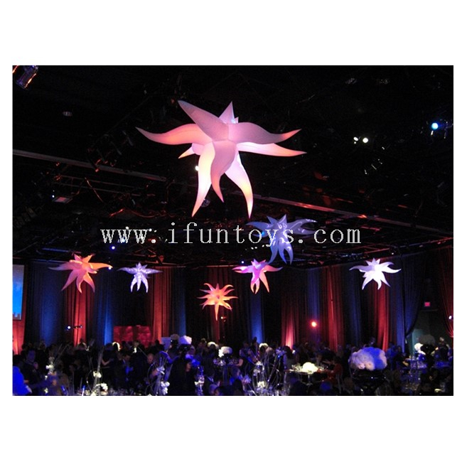 CIMG2962-uai-2880x2160_副本