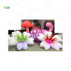 Outdoor backyard Decorative large mushroom model balloon inflatable alice in wonderland for party decoration