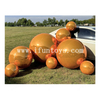 Events Party Stage Club Shop Decoration Advertising Inflatable Mirror Ball Inflatable Mirror Balloon PVC Mirror Sphere Balls