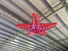 Inflatable Starfish Balloon / LED Lighting Inflatable Sea Animal Ceiling Decoration for Party