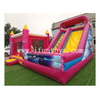 Frozen Theme Inflatable Jumping House with Slide Pink Bouncer Slide Combo Princess Bouncy House for Girls' Birthday Party