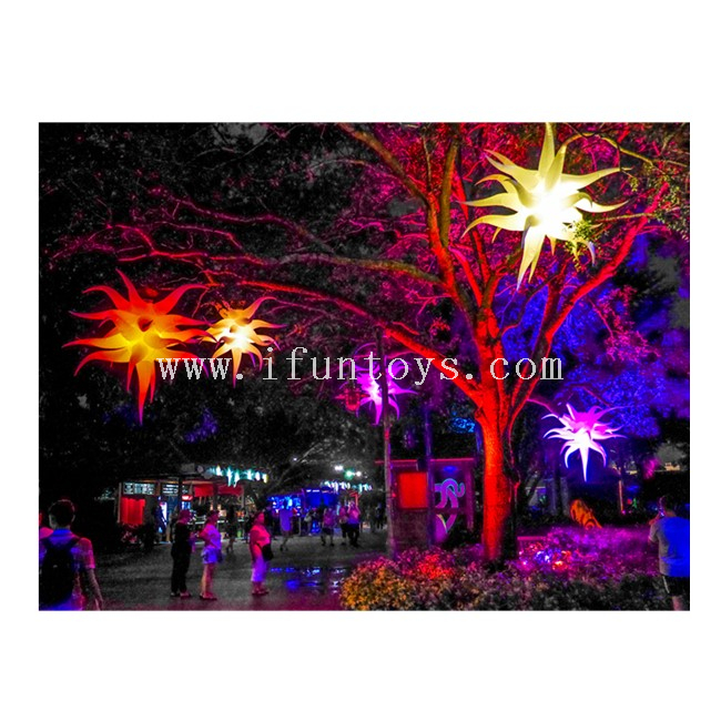 Lilia--uai-2880x2163_副本